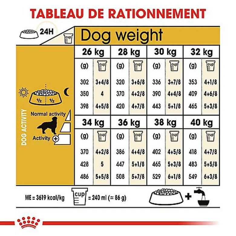 Royal Canin - Croquettes Golden Retriever Pour Chien Adulte 8 Royal Canin - Croquettes Golden Retriever Pour Chien Adulte – Image 6