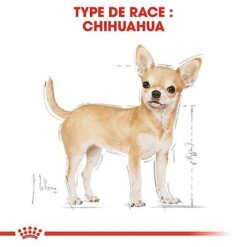 Royal Canin - Croquettes Chihuahua Pour Chien Adulte -Magasin De Fournitures Pour Chiens 67347