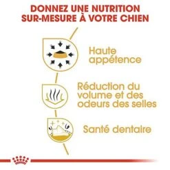 Royal Canin - Croquettes Chihuahua Pour Chien Adulte -Magasin De Fournitures Pour Chiens 67351