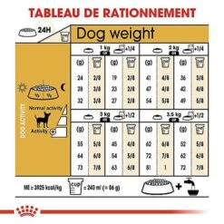 Royal Canin - Croquettes Chihuahua Pour Chien Adulte -Magasin De Fournitures Pour Chiens 67352