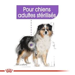 Royal Canin - Croquettes Medium Sterilised Pour Chien Stérilisé - 3Kg -Magasin De Fournitures Pour Chiens 67578