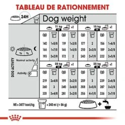 Royal Canin - Croquettes Medium Sterilised Pour Chien Stérilisé - 3Kg -Magasin De Fournitures Pour Chiens 67582
