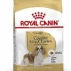 Royal Canin - Croquettes Cavalier King Charles Pour Chien Adulte -Magasin De Fournitures Pour Chiens 67591