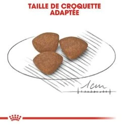 Royal Canin - Croquettes Mini Puppy Pour Chiot -Magasin De Fournitures Pour Chiens 67633