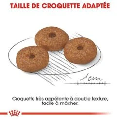 Royal Canin - Croquettes Mini Ageing 12+ Pour Chien Senior - 1,5Kg -Magasin De Fournitures Pour Chiens 67640