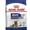 Royal Canin - Croquettes Maxi Ageing 8+ Pour Chien Senior - 15Kg 1 Royal Canin - Croquettes Maxi Ageing 8+ Pour Chien Senior - 15Kg -Magasin De Fournitures Pour Chiens 67671