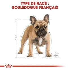 Royal Canin - Croquettes Bouledogue Français Pour Chien Adulte - 3Kg 10 Royal Canin - Croquettes Bouledogue Français Pour Chien Adulte - 3Kg -Magasin De Fournitures Pour Chiens 67772