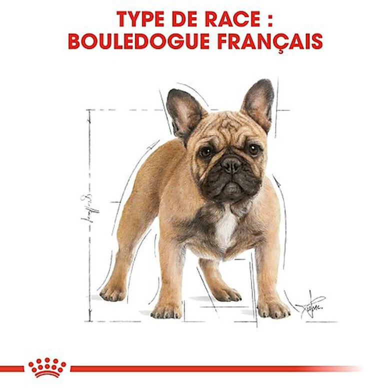 Royal Canin - Croquettes Bouledogue Français Pour Chien Adulte - 3Kg 4 Royal Canin - Croquettes Bouledogue Français Pour Chien Adulte - 3Kg – Image 2