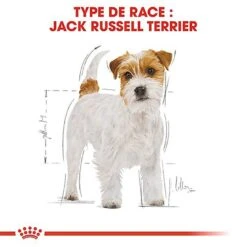 Nouveaux produits -Magasin De Fournitures Pour Chiens 67829