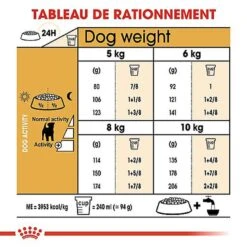Royal Canin - Croquettes Jack Russel Terrier Pour Chien Adulte -Magasin De Fournitures Pour Chiens 67832