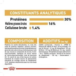 Royal Canin - Croquettes Jack Russel Terrier Pour Chien Adulte -Magasin De Fournitures Pour Chiens 67833