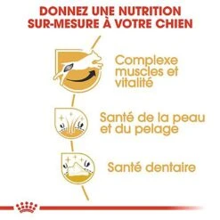 Royal Canin - Croquettes Jack Russel Terrier Pour Chien Adulte -Magasin De Fournitures Pour Chiens 67834