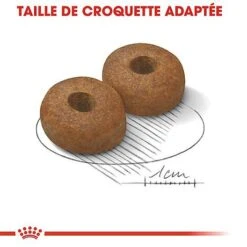 Royal Canin - Croquettes Maxi Ageing 8+ Pour Chien Senior - 3Kg -Magasin De Fournitures Pour Chiens 67953