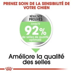 Royal Canin - Croquettes Mini Digestive Care Pour Chien - 3Kg -Magasin De Fournitures Pour Chiens 68123