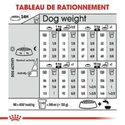 Royal Canin - Croquettes Mini Digestive Care Pour Chien - 3Kg -Magasin De Fournitures Pour Chiens 68126