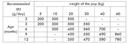 Nath - Croquettes Medium/Maxi Puppy Au Poulet Pour Chiot - 3Kg 4 Nath - Croquettes Medium/Maxi Puppy Au Poulet Pour Chiot - 3Kg – Image 2