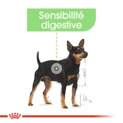 Royal Canin - Sachets Digestive Care En Mousse Pour Chien - 12X85g -Magasin De Fournitures Pour Chiens 68392