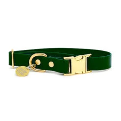 Pop Dog - Collier Elégant Vert Pour Chien - M