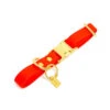 Pop Dog - Collier Foufou Orange Pour Chien - S -Magasin De Fournitures Pour Chiens 68967