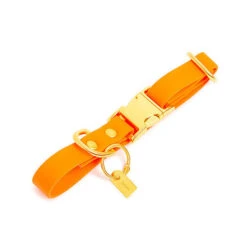 Pop Dog - Collier Pitchoune Orange Pour Chien - S