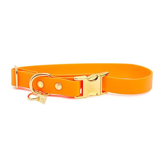 Pop Dog - Collier Pitchoune Orange Pour Chien - S 4 Pop Dog - Collier Pitchoune Orange Pour Chien - S – Image 2