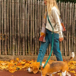 Pop Dog - Laisse Bandoulière Elégant Vert Pour Chien - M/L -Magasin De Fournitures Pour Chiens 69001