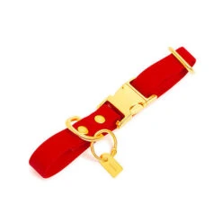 Pop Dog - Collier Diablotin Rouge Pour Chien - S