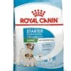 Royal Canin - Croquettes Mini Starter Mother & Babydog Pour Chiot - 4Kg 1 Royal Canin - Croquettes Mini Starter Mother & Babydog Pour Chiot - 4Kg -Magasin De Fournitures Pour Chiens 72498