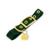Pop Dog - Collier à Œillet Elégant Vert Pour Chien - XS -Magasin De Fournitures Pour Chiens 72526