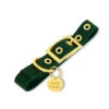Pop Dog - Collier à Œillet Elégant Vert Pour Chien - M
