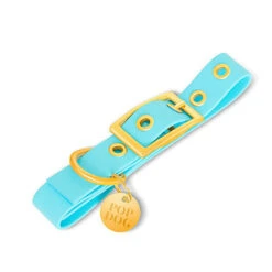 Pop Dog - Collier à Œillet Dragueur Bleu Pour Chien - M