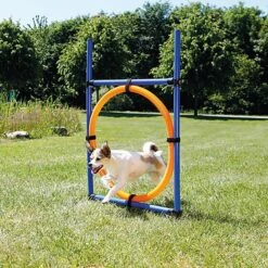 Trixie - Anneau Fun Agility Pour Chien - 115xØ3cm -Magasin De Fournitures Pour Chiens 73664