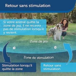 PetSafe - Kit Clôture Wireless Pour Chiens -Magasin De Fournitures Pour Chiens 74223