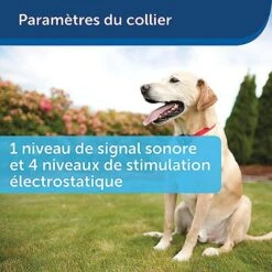 PetSafe - Kit Clôture Wireless Pour Chiens -Magasin De Fournitures Pour Chiens 74227