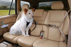 Kurgo - Tyrolienne De Sécurité ZIP LINE Pour Chiens -Magasin De Fournitures Pour Chiens 74247