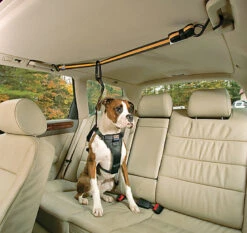 Kurgo - Tyrolienne De Sécurité ZIP LINE Pour Chiens -Magasin De Fournitures Pour Chiens 74248