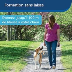 PetSafe - Système D'Aide à L'Education Pour Chiens - 100m -Magasin De Fournitures Pour Chiens 74261
