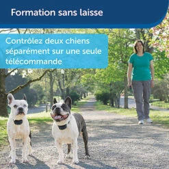 PetSafe - Système D'Aide à L'Education Pour Chiens - 300m 20 PetSafe - Système D'Aide à L'Education Pour Chiens - 300m -Magasin De Fournitures Pour Chiens 74277