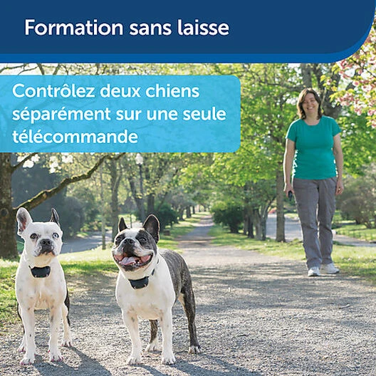 PetSafe - Système D'Aide à L'Education Pour Chiens - 300m 11 PetSafe - Système D'Aide à L'Education Pour Chiens - 300m – Image 9