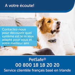 PetSafe - Système D'Aide à L'Education Pour Chiens - 300m 21 PetSafe - Système D'Aide à L'Education Pour Chiens - 300m -Magasin De Fournitures Pour Chiens 74278