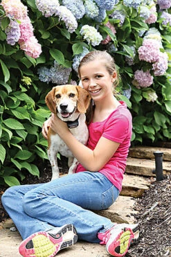 PetSafe - Clôture Anti-Fugue PIG19-16413 Pour Chien -Magasin De Fournitures Pour Chiens 74309