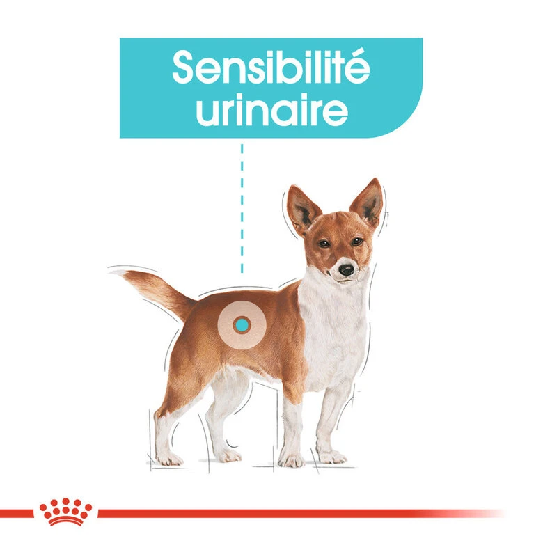 Royal Canin - Pâtée En Mousse Urinary Care Pour Chien De Toute Taille - 12x85g 4 Royal Canin - Pâtée En Mousse Urinary Care Pour Chien De Toute Taille - 12x85g – Image 2