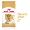 Royal Canin - Croquettes Yorkshire Terrier Adult 8+ Pour Chiens Seniors - 1,5Kg 1 Royal Canin - Croquettes Yorkshire Terrier Adult 8+ Pour Chiens Seniors - 1,5Kg -Magasin De Fournitures Pour Chiens 74336