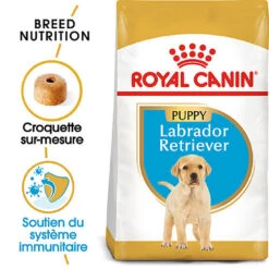 Royal Canin - Croquettes Puppy Labrador Retriever Pour Chiots - 3Kg
