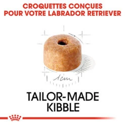 Royal Canin - Croquettes Puppy Labrador Retriever Pour Chiots - 3Kg 11 Royal Canin - Croquettes Puppy Labrador Retriever Pour Chiots - 3Kg -Magasin De Fournitures Pour Chiens 74383