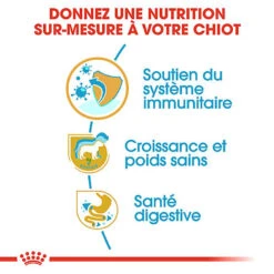 Royal Canin - Croquettes Puppy Labrador Retriever Pour Chiots - 3Kg 12 Royal Canin - Croquettes Puppy Labrador Retriever Pour Chiots - 3Kg -Magasin De Fournitures Pour Chiens 74385