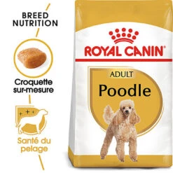 Royal Canin - Croquettes Poodle Adult Caniche Pour Chien - 1,5Kg