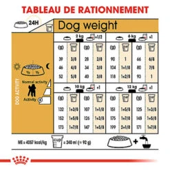Royal Canin - Croquettes Poodle Adult Caniche Pour Chien - 1,5Kg 11 Royal Canin - Croquettes Poodle Adult Caniche Pour Chien - 1,5Kg -Magasin De Fournitures Pour Chiens 74394
