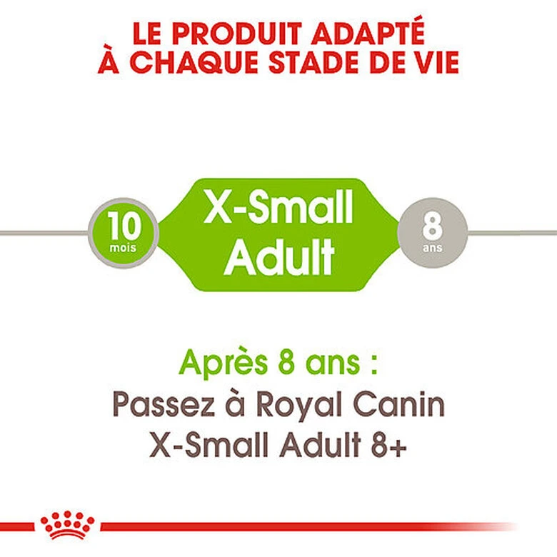 Royal Canin - Croquettes X-Small Adult Pour Petits Chiens - 1,5Kg 4 Royal Canin - Croquettes X-Small Adult Pour Petits Chiens - 1,5Kg – Image 2