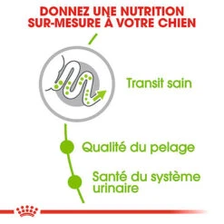 Royal Canin - Croquettes X-Small Adult Pour Petits Chiens - 1,5Kg 10 Royal Canin - Croquettes X-Small Adult Pour Petits Chiens - 1,5Kg -Magasin De Fournitures Pour Chiens 74432